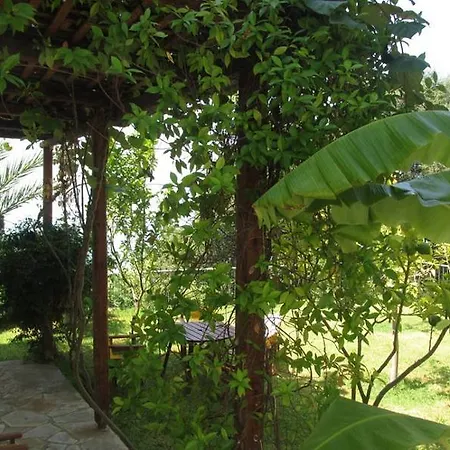 Milos Lourdata (Kefalonia)